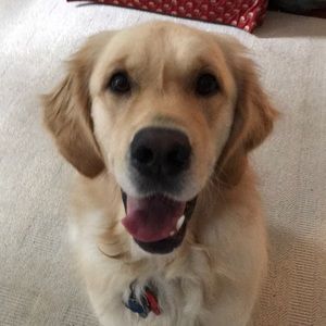 Meet your Posher, Barbara